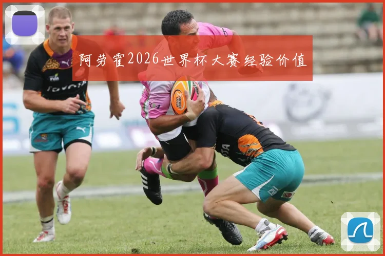 阿劳霍2026世界杯大赛经验价值