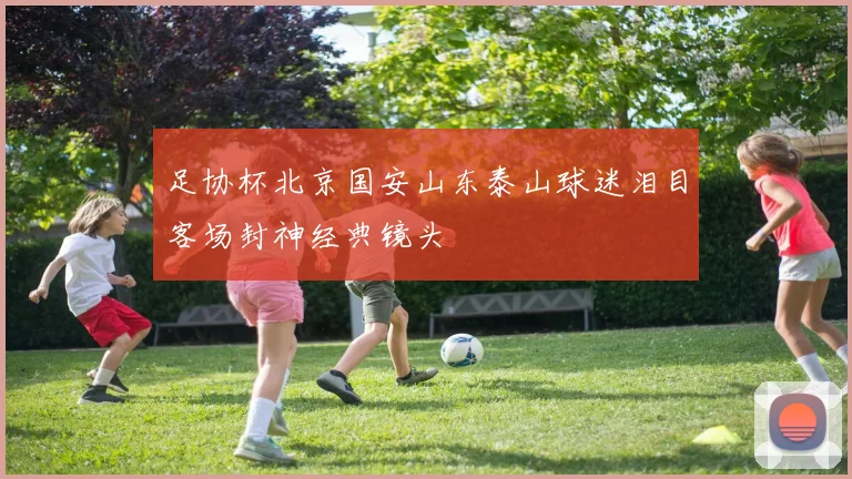 足协杯北京国安山东泰山球迷泪目客场封神经典镜头