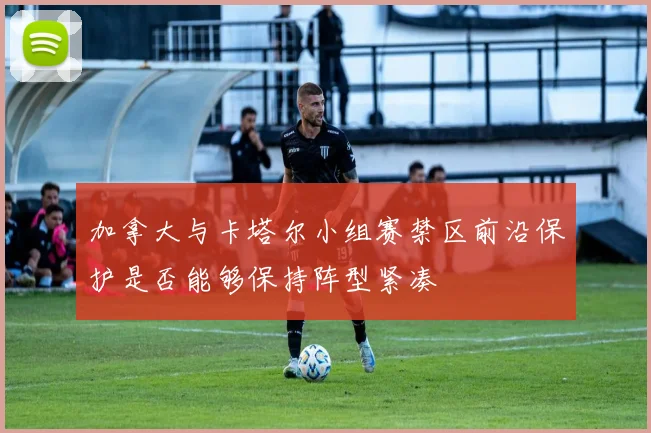 加拿大与卡塔尔小组赛禁区前沿保护是否能够保持阵型紧凑