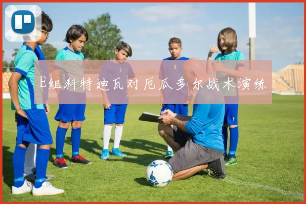 E组科特迪瓦对厄瓜多尔战术演练