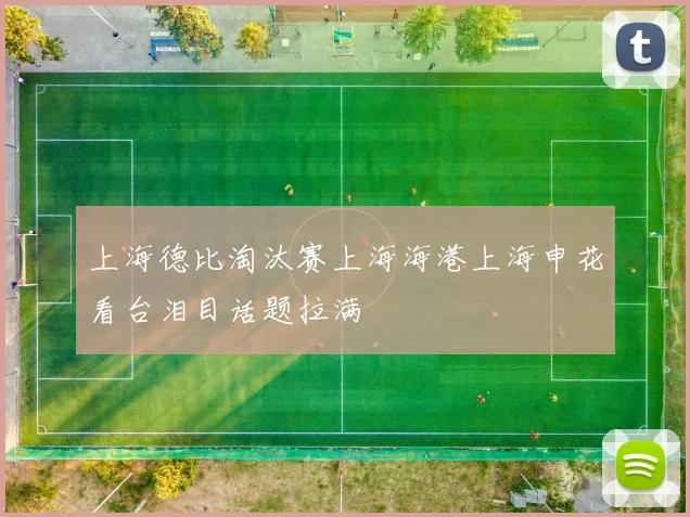 上海德比淘汰赛上海海港上海申花看台泪目话题拉满