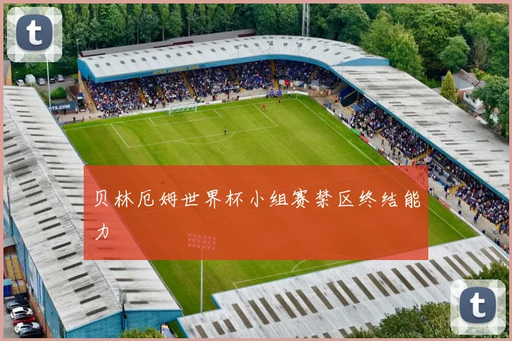 贝林厄姆世界杯小组赛禁区终结能力