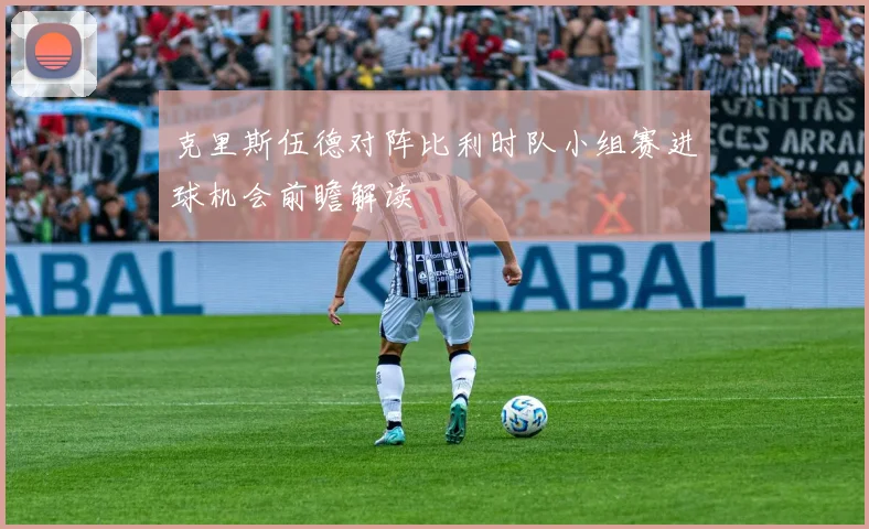 克里斯伍德对阵比利时队小组赛进球机会前瞻解读