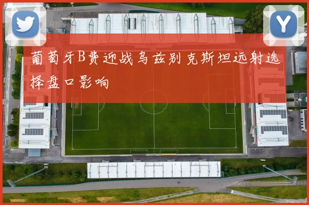 葡萄牙B费迎战乌兹别克斯坦远射选择盘口影响
