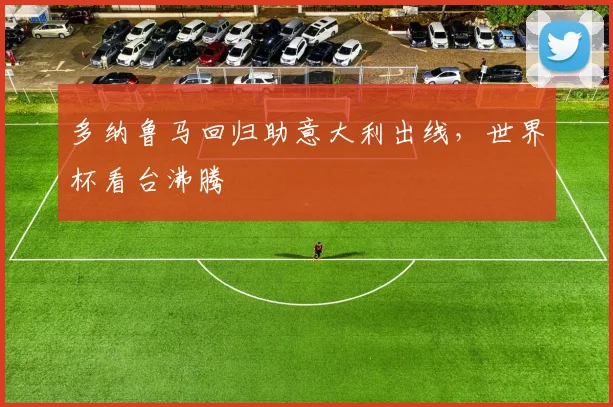 多纳鲁马回归助意大利出线,世界杯看台沸腾