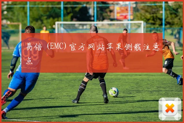 易倍 (EMC)官方网站苹果侧载注意点